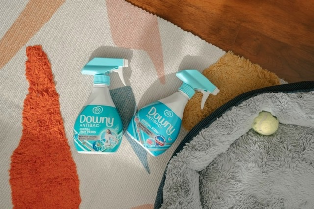5 Dirtiest Spots in Your Home and How To Clean Them