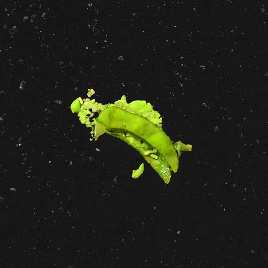 bbno$ RELEASES ‘Edamame (ft. Rich Brian) Diplo Remix’