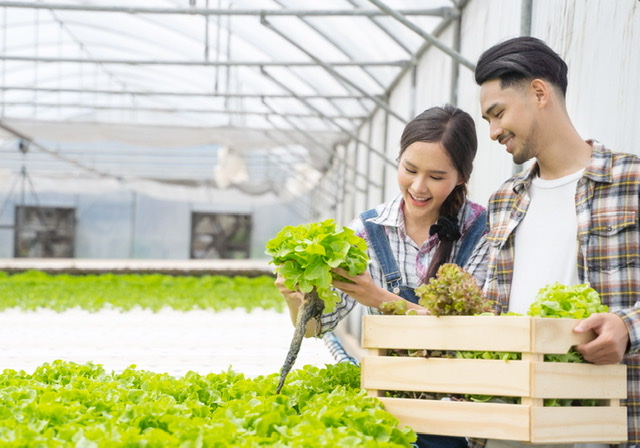 QUEST HOTEL, TAGAYTAY INVITES GUESTS EXPERIENCE TAGAYTAY WITH ITS LIVE LOVE EXPLORE ROOM PACKAGE