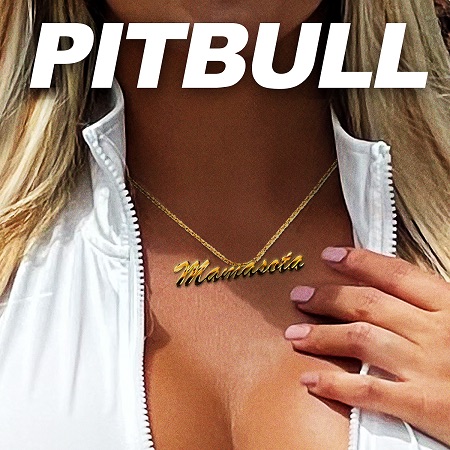 PITBULL RELEASES NEW SINGLE “MAMASOTA” OUT NOW