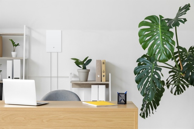 Deck the Halls with Savings! TP-Link's Best Treats to Gift Yourself and Loved Ones 