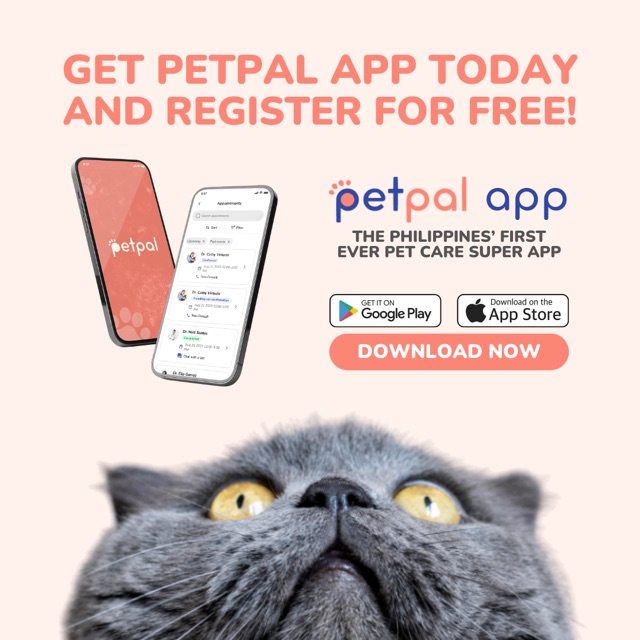 PetPal launches PH’s first all-in-one pet care super app 