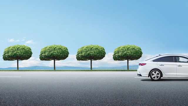 Caltex Launches Carbon Offset Program for Filipino Motorists