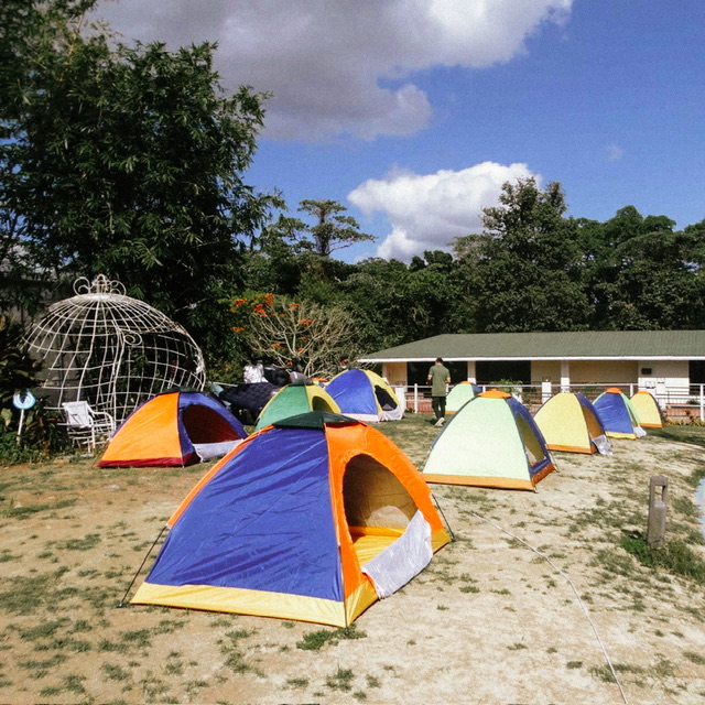 Forest Crest Nature Hotel and Resort: A Gateway to Nature's Tranquil Embrace