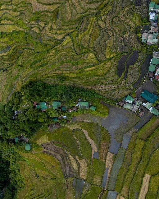 Stories of the Road explores possible origin stories behind the Banaue Rice Terraces