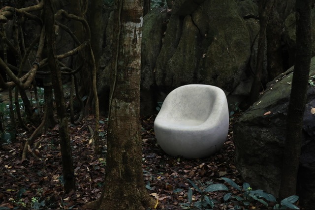 DESTONOS UNVEILED: Mementos of the Natural World