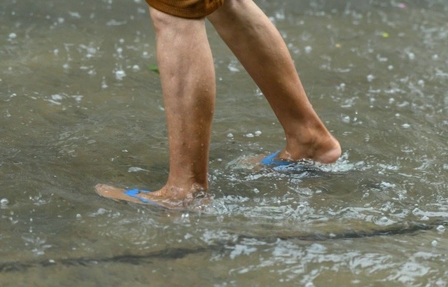 Everybody can get leptospirosis – here’s how to avoid it makati med