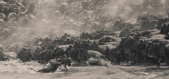 Southeast Asia’s Panoramic Vision Captivates at the 2025 Epson International Pano Awards