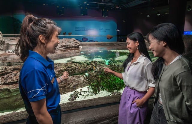 Singapore Oceanarium spotlights native seahorses through exclusive guided experience 