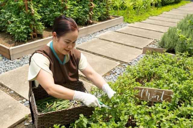 Okada Manila Earns Forbes VERIFIED Responsible Hospitality Badge for Second Consecutive Year
